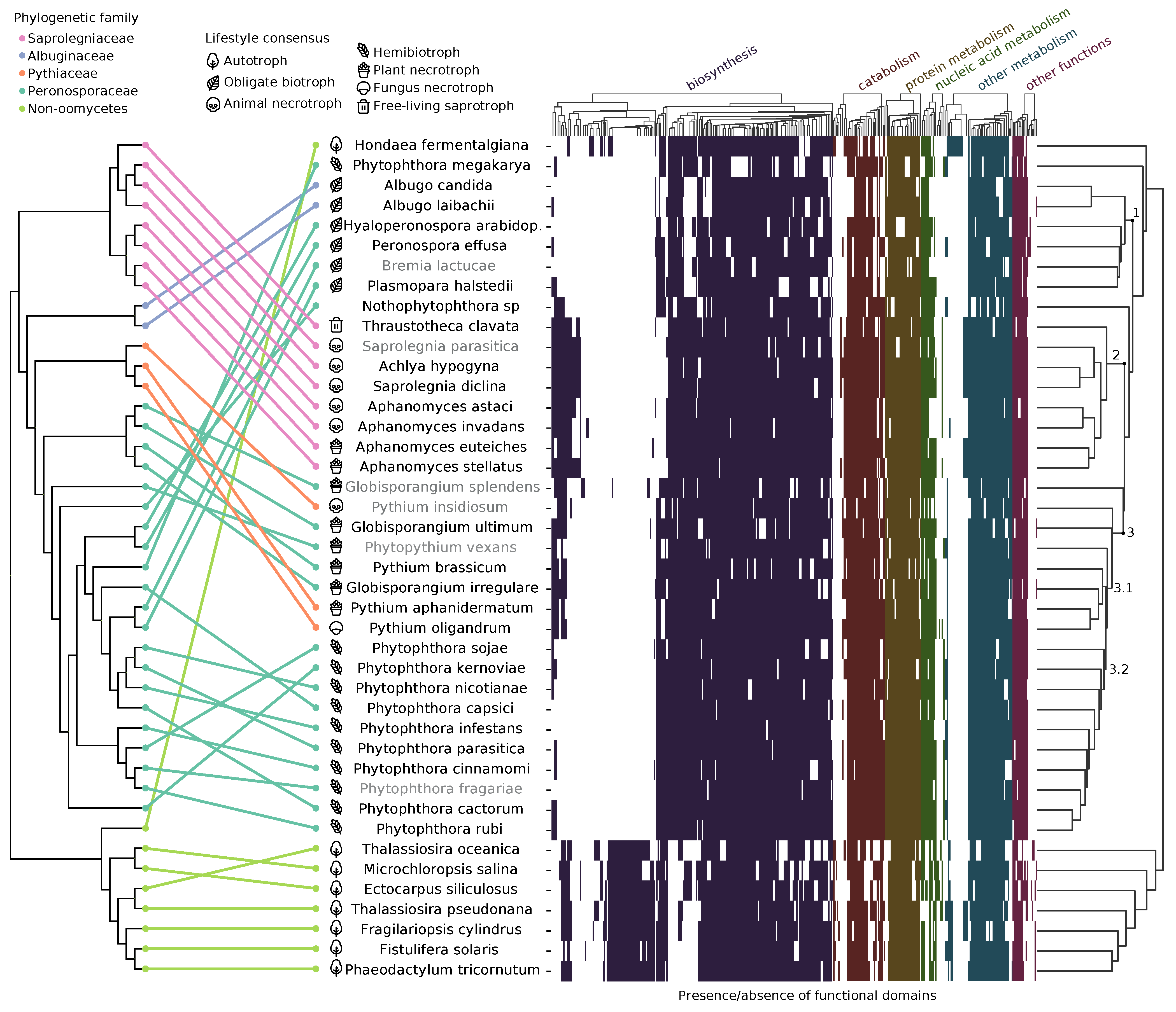 pathogens-10-00807-g001.png